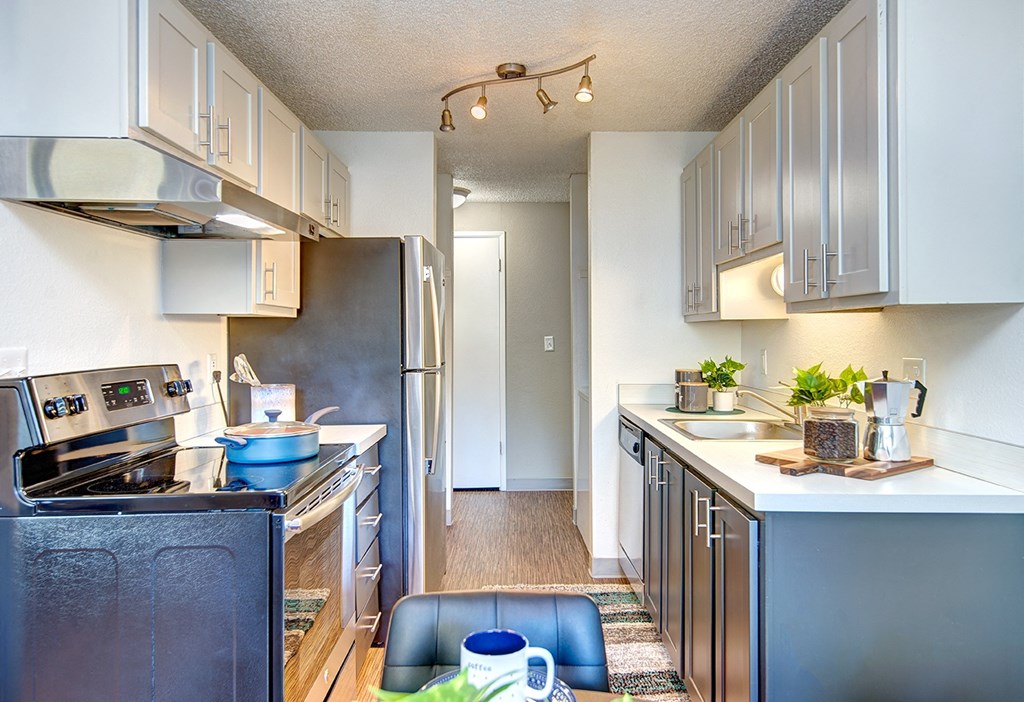 Mid Renovated Kitchen