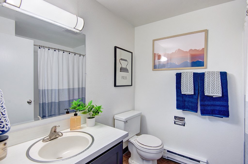 Mid Renovated Bathroom