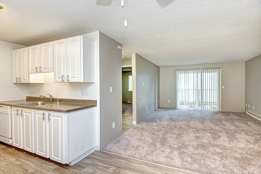 Kitchen and Livingroom