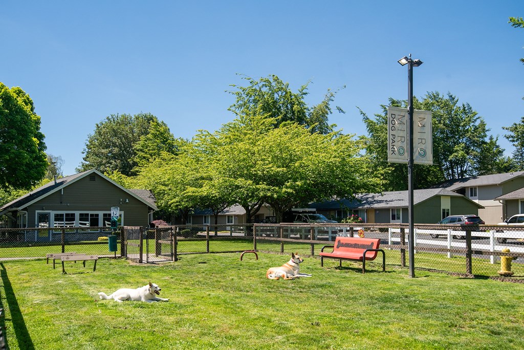 two dogs laying in the grass at a dog park
