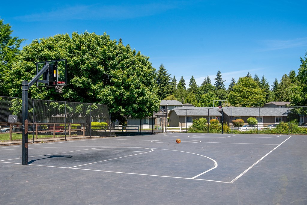 a basketball court in a park with trees