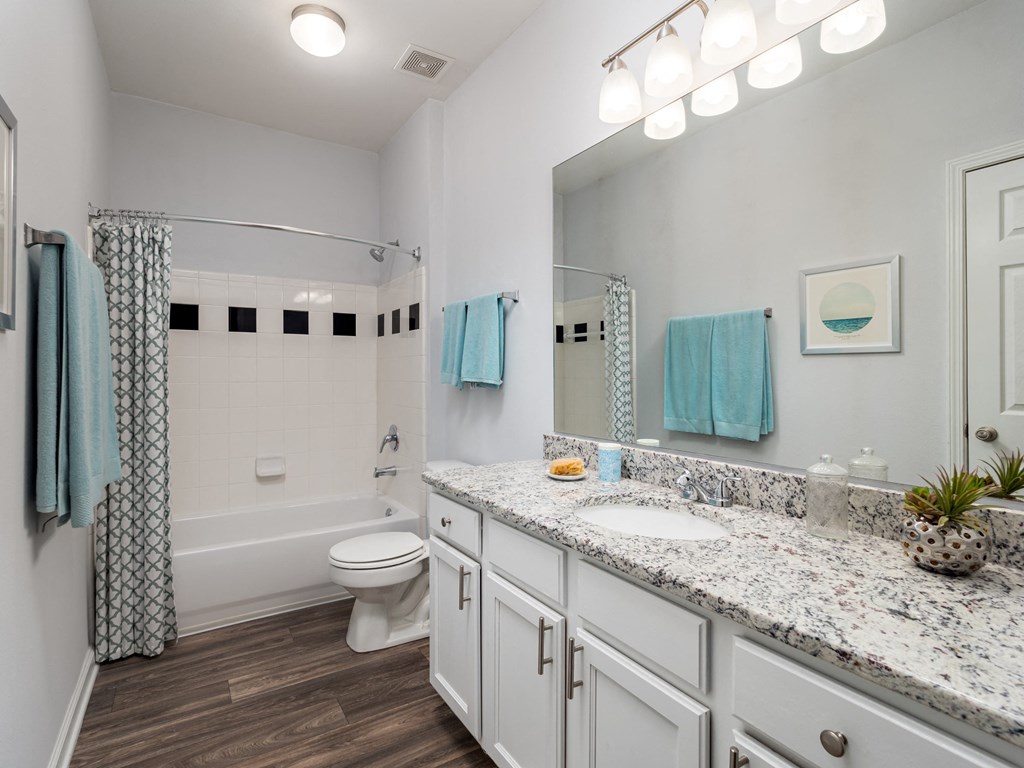 a bathroom with a sink and a toilet and a shower