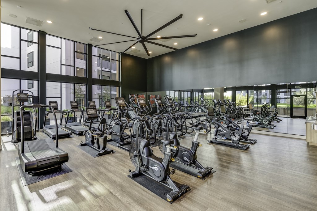 A gym with a variety of cardio machines.