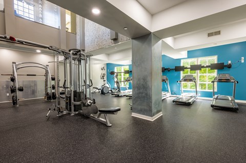 a gym with weights and cardio equipment in a building with blue walls