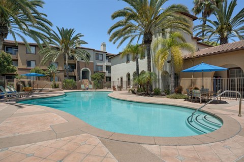 A swimming pool surrounded by palm trees and a building in the background.