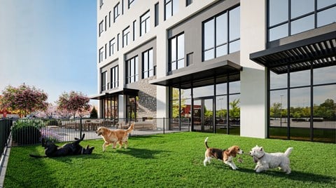 Dogs playing in the grass in front of a modern building.