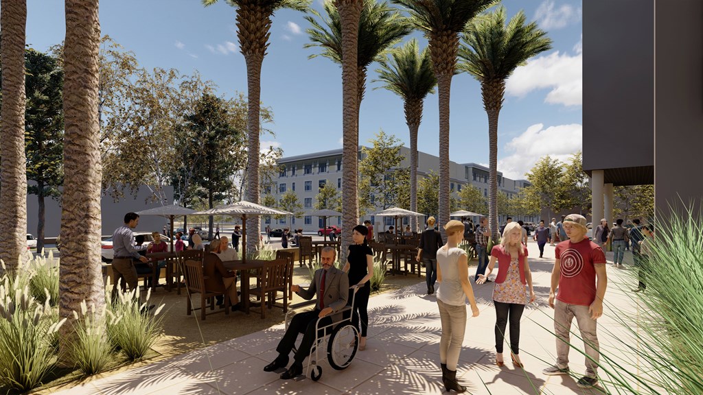 A group of people are walking in a park with palm trees.