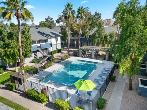 A pool surrounded by palm trees and bushes.