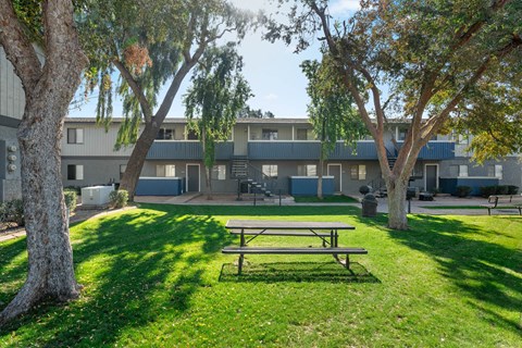 A picnic table is in the foreground of a grassy area with trees and apartment buildings in the background.