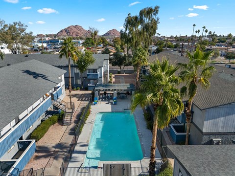 A pool surrounded by palm trees and a mountain in the distance.