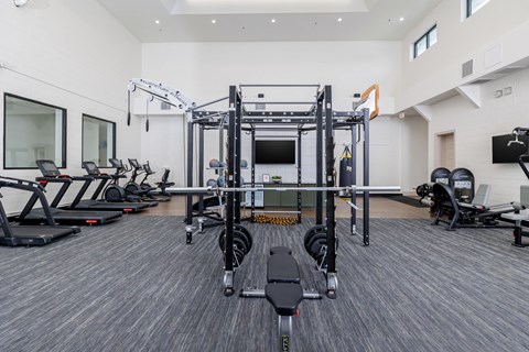 Fitness center with free weights and TRX bands
