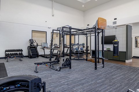 Apartment complex fitness center with strength and cardio equipment