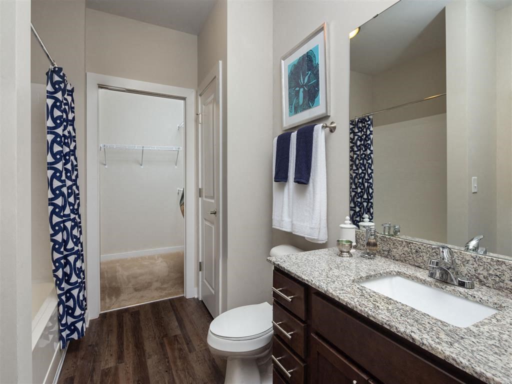 a bathroom with a sink and a toilet and a shower