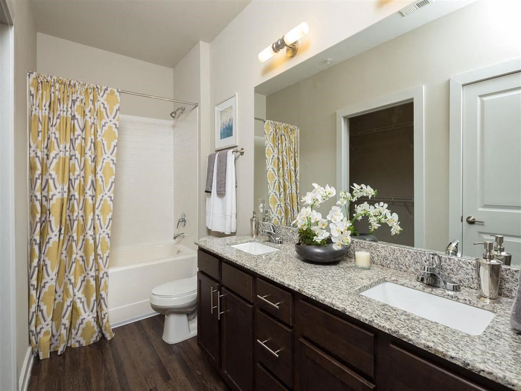 a bathroom with a sink and a mirror and a toilet