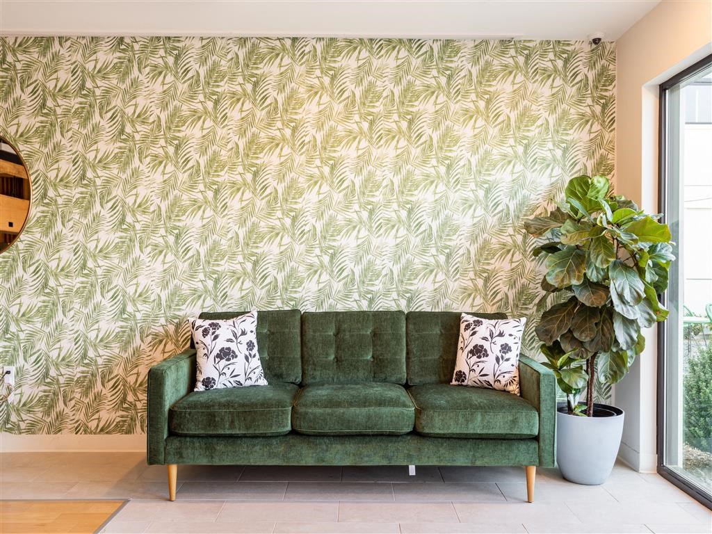 a living room with a green couch and a plant