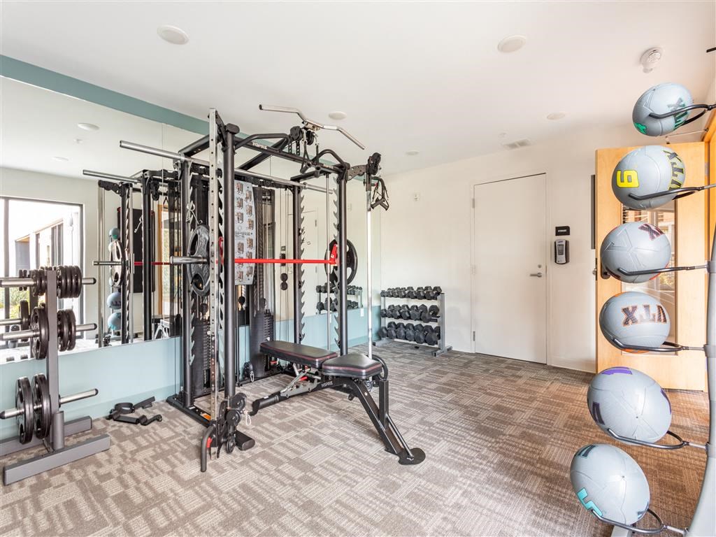 a home gym with weights and equipment on the wall