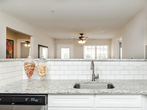 Kitchen Sink at Patriots Pointe, Hillsborough, NC, 27278