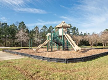 On - Site Playground at Patriots Pointe, Hillsborough, NC, 27278 - Photo Gallery 19