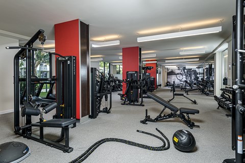 A gym with a variety of equipment including a weight bench, a rowing machine, and a treadmill.