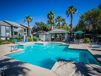 our apartments showcase a swimming pool