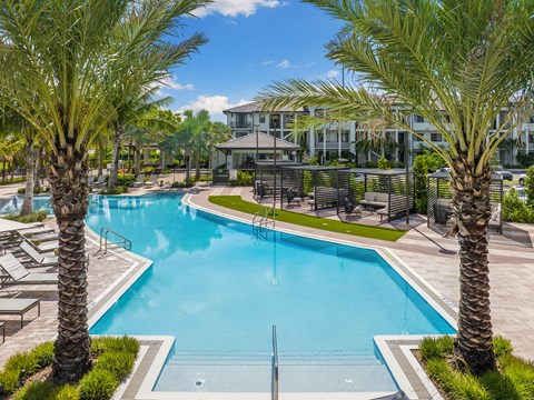 A swimming pool surrounded by palm trees and lounge chairs.