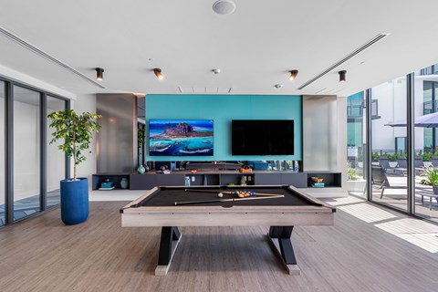 A pool table in a room with a television and a plant.