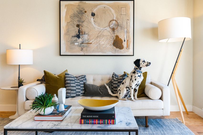 Nob Hill Tower Apartments, 1221 Jones St., San Francisco, CA RentCafe