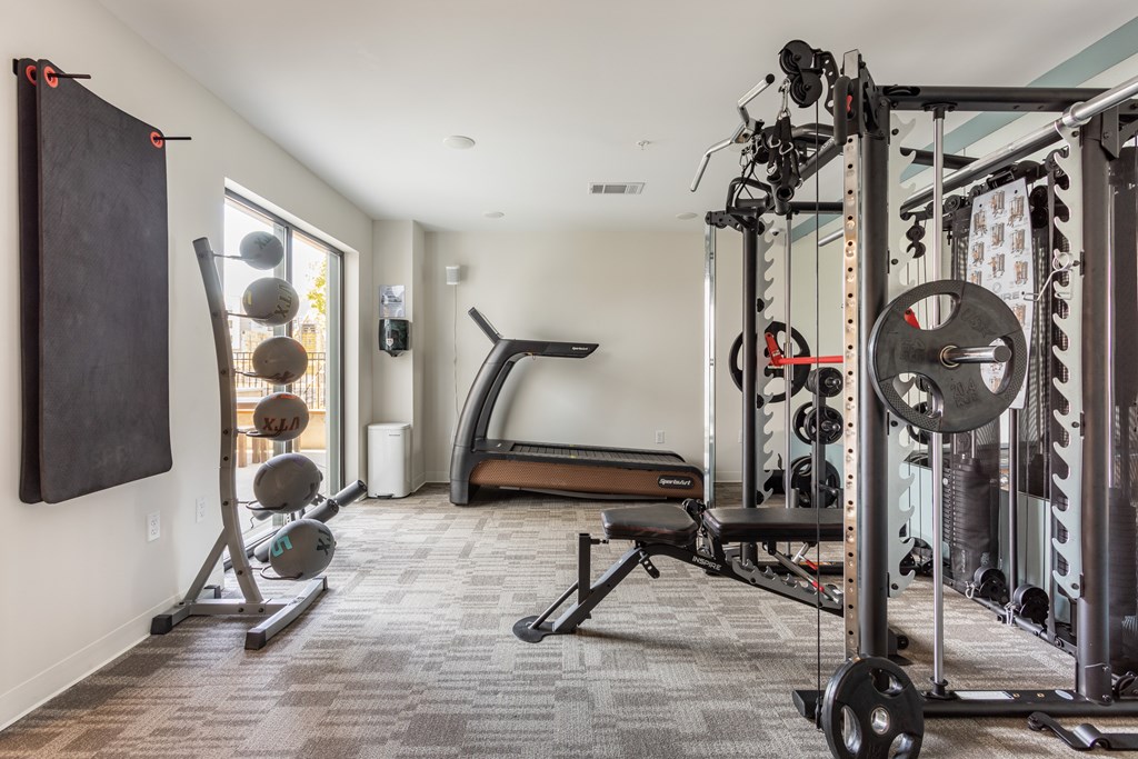A home gym with a variety of equipment including a weight bench, barbell, and dumbbells.