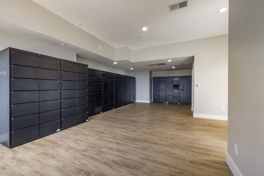 a room with a large closet with black lockers