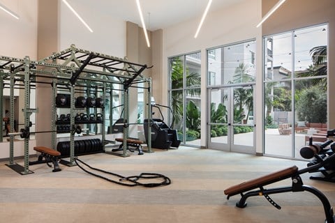 A gym with a variety of equipment including a squat rack, bench, and weights.