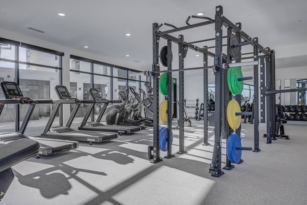 A gym with a variety of equipment including treadmills, weightlifting bars, and weight plates.