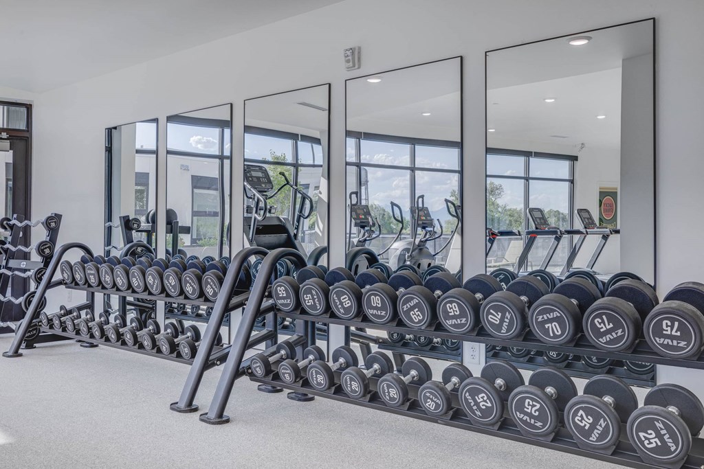A gym with a row of dumbbells and a mirrored wall.