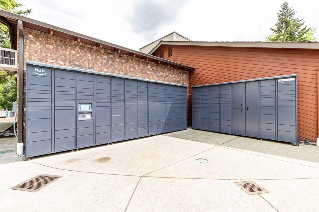 Amazon Hub Package Receiving