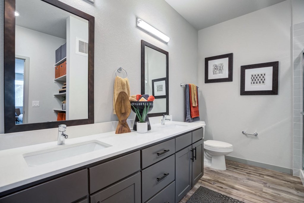a bathroom with a sink and a mirror and a toilet