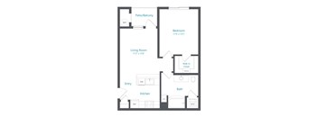 A floor plan of a small apartment with a living room, kitchen, bathroom, bedroom and walk-in closet.