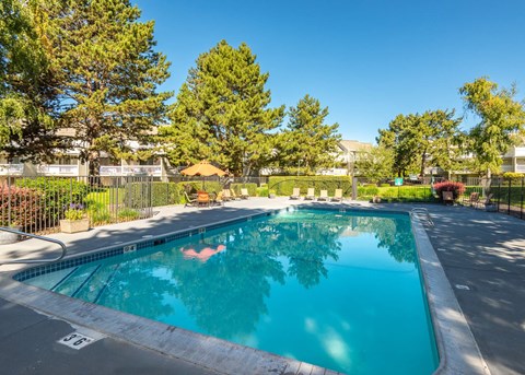 A person is swimming in a blue pool surrounded by trees and a fence at Aspenridge Apartments, WA 98683