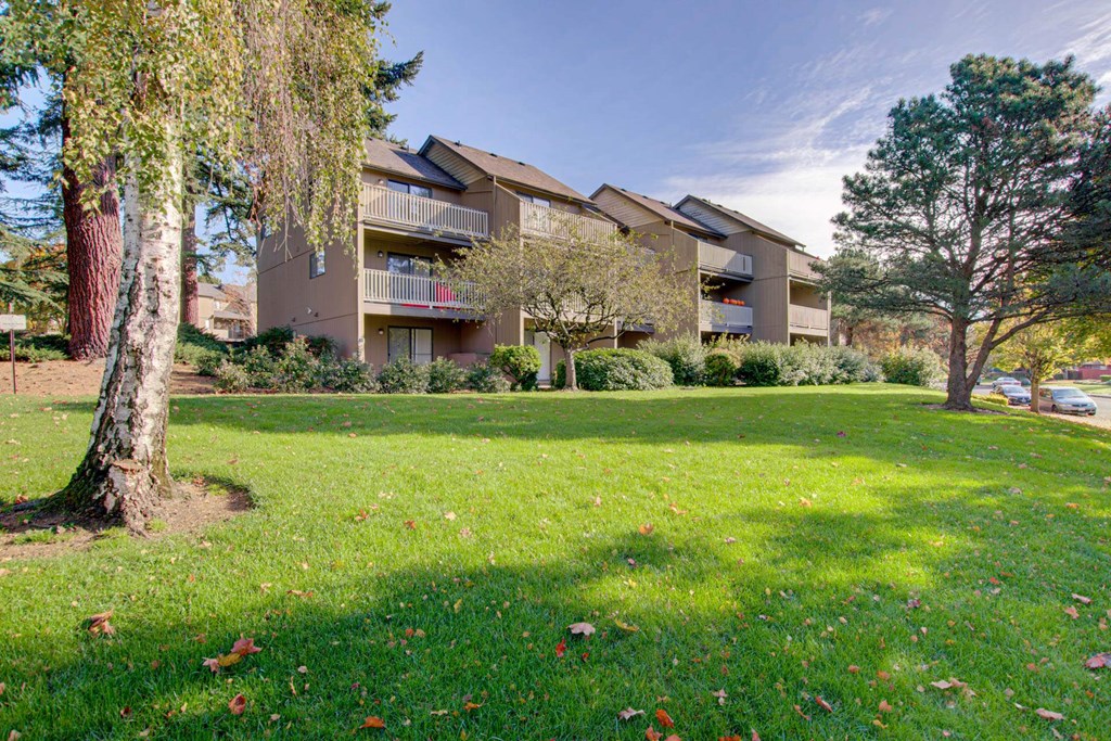 A tree in a grassy area in front of a building. A tree in a grassy area in front of a building at Aspenridge Apartments,Vancouver, WA