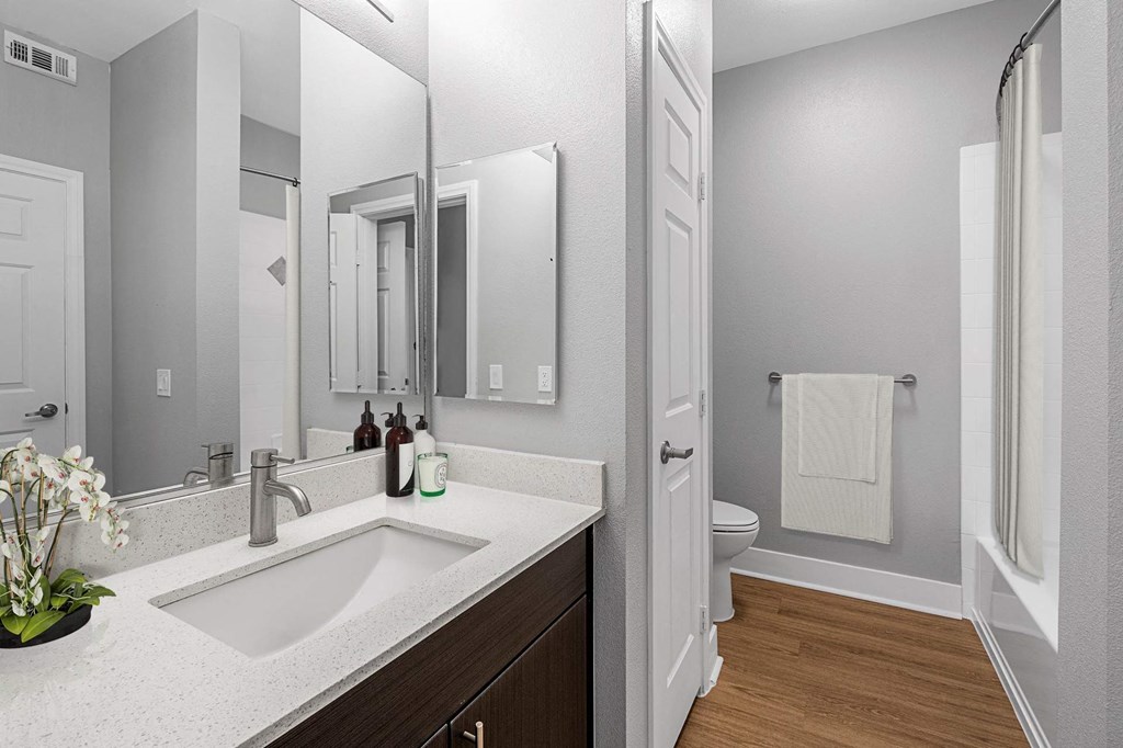 A bathroom with a sink, mirror, and toilet.