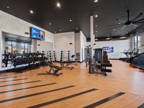 Fitness Studio equipped with weights and cardio equipment