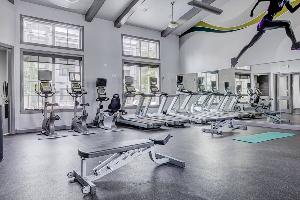 A gym with treadmills, elliptical machines, and a weight bench.