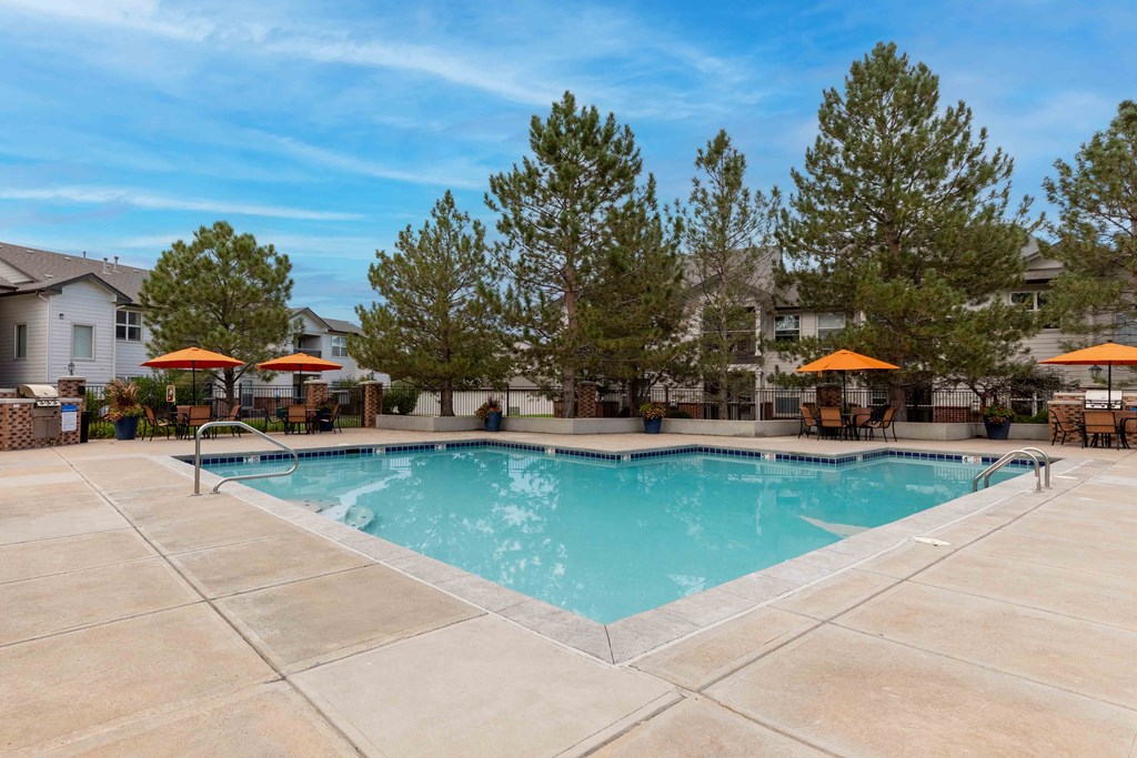 the swimming pool at the apartments for rent