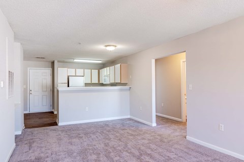 A large empty room with a carpeted floor and white walls.