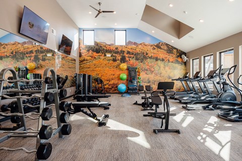 A well-equipped gym with a large wall mural of a forest in autumn.