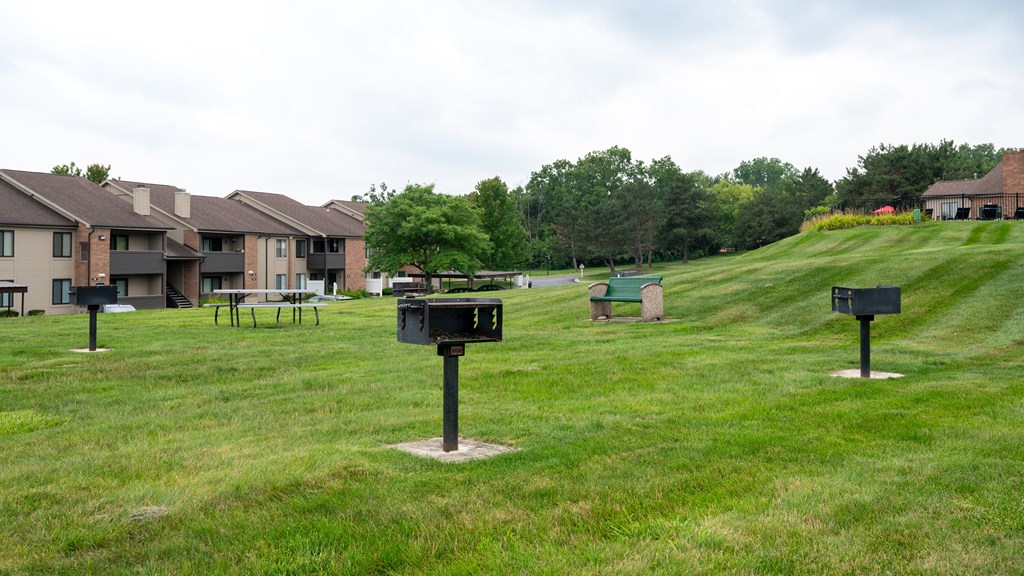 a grassy area with a picnic table and grill