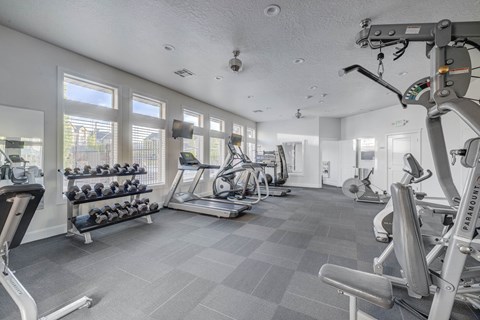 A gym with a variety of equipment including a treadmill, a stationary bike, and a weight rack.