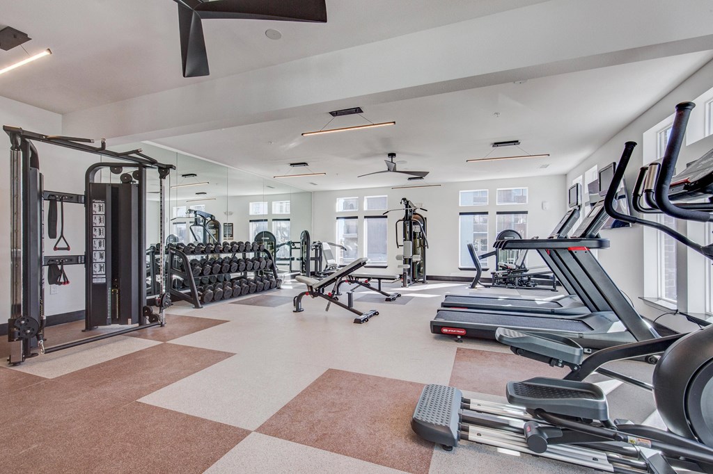 Fitness center with free weights and cardio machines