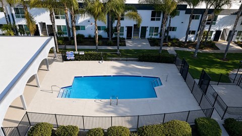 A swimming pool surrounded by a black fence and palm trees.