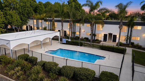 A pool surrounded by bushes and a building in the background.