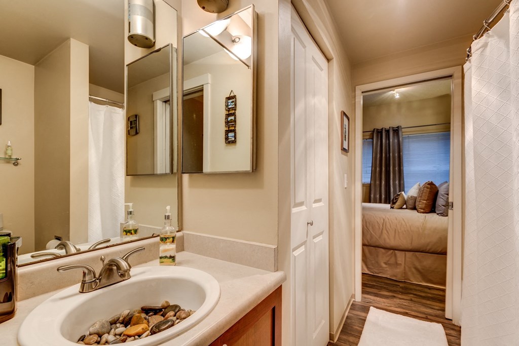 a bathroom with a sink and a mirror