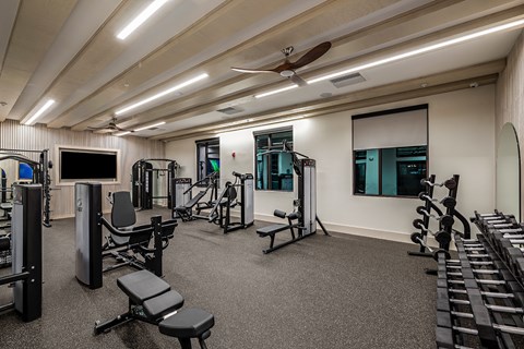 a gym with weights and other exercise equipment and a tv